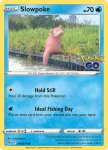Pokemon GO card 019/078